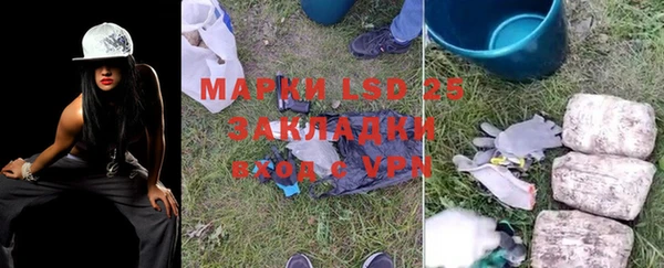 ПСИЛОЦИБИНОВЫЕ ГРИБЫ Алзамай