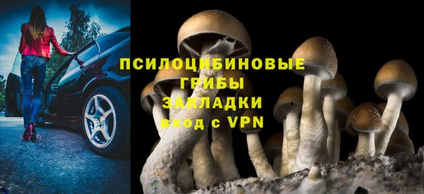 ALPHA-PVP Алексин