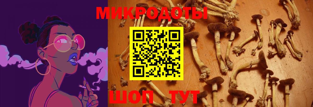 Псилоцибиновые грибы Psilocybe  Псилоцибиновые грибы Psilocybe  Вход с VPN  Мыски 