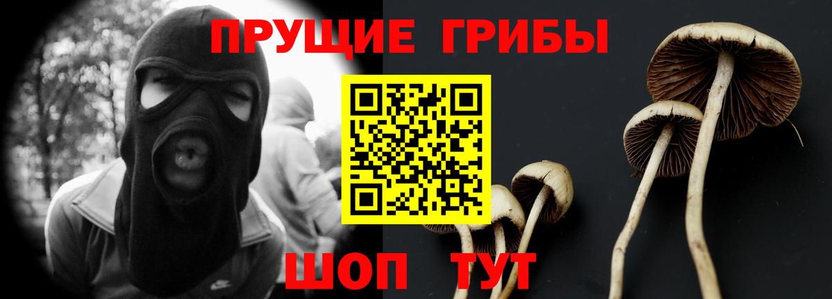 Псилоцибиновые грибы Psilocybine cubensis Мыски